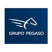 Grupo Pegaso